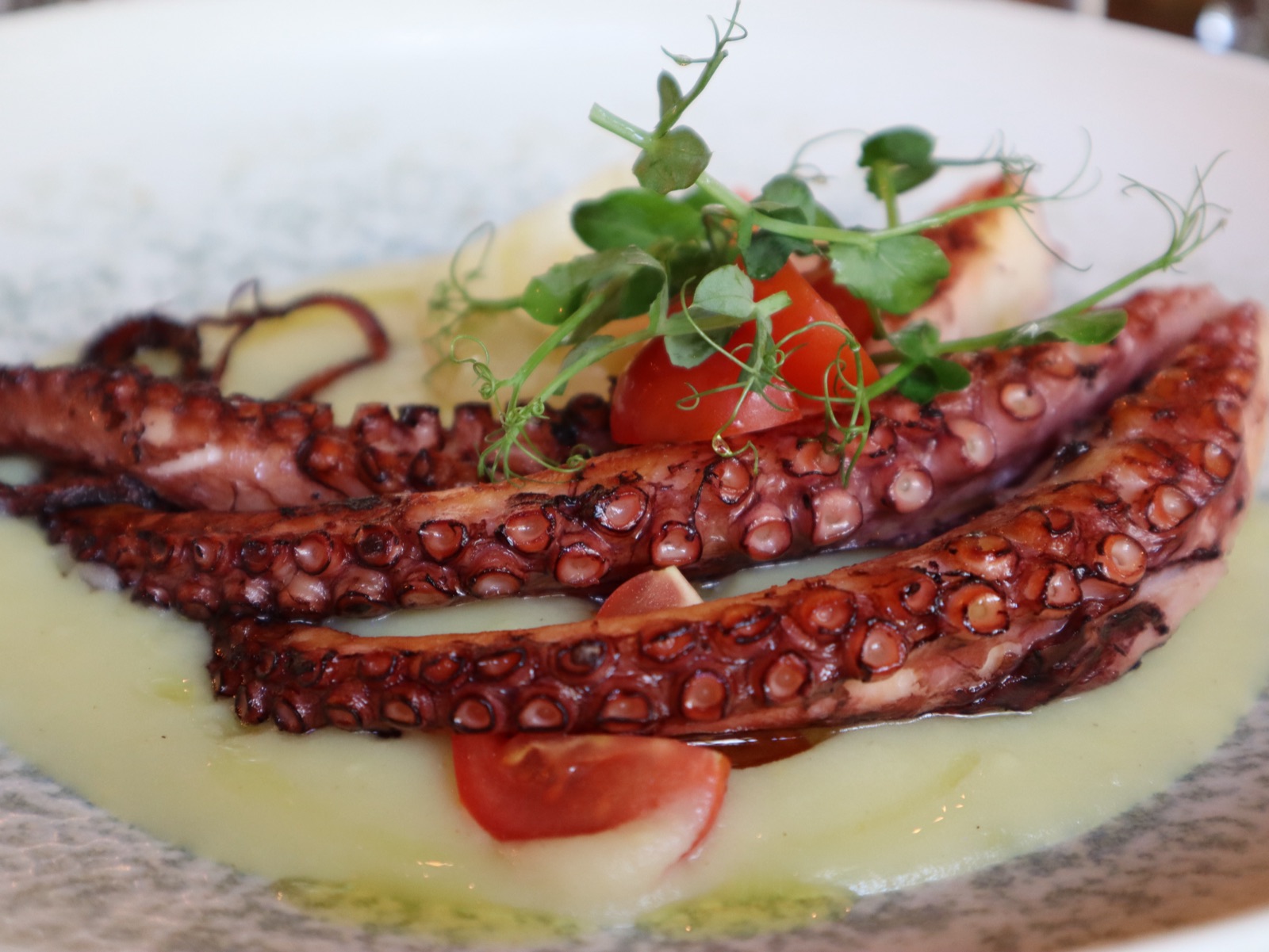 Tentacules de poulpe grillé